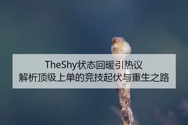 TheShy状态回暖引热议 解析顶级上单的竞技起伏与重生之路